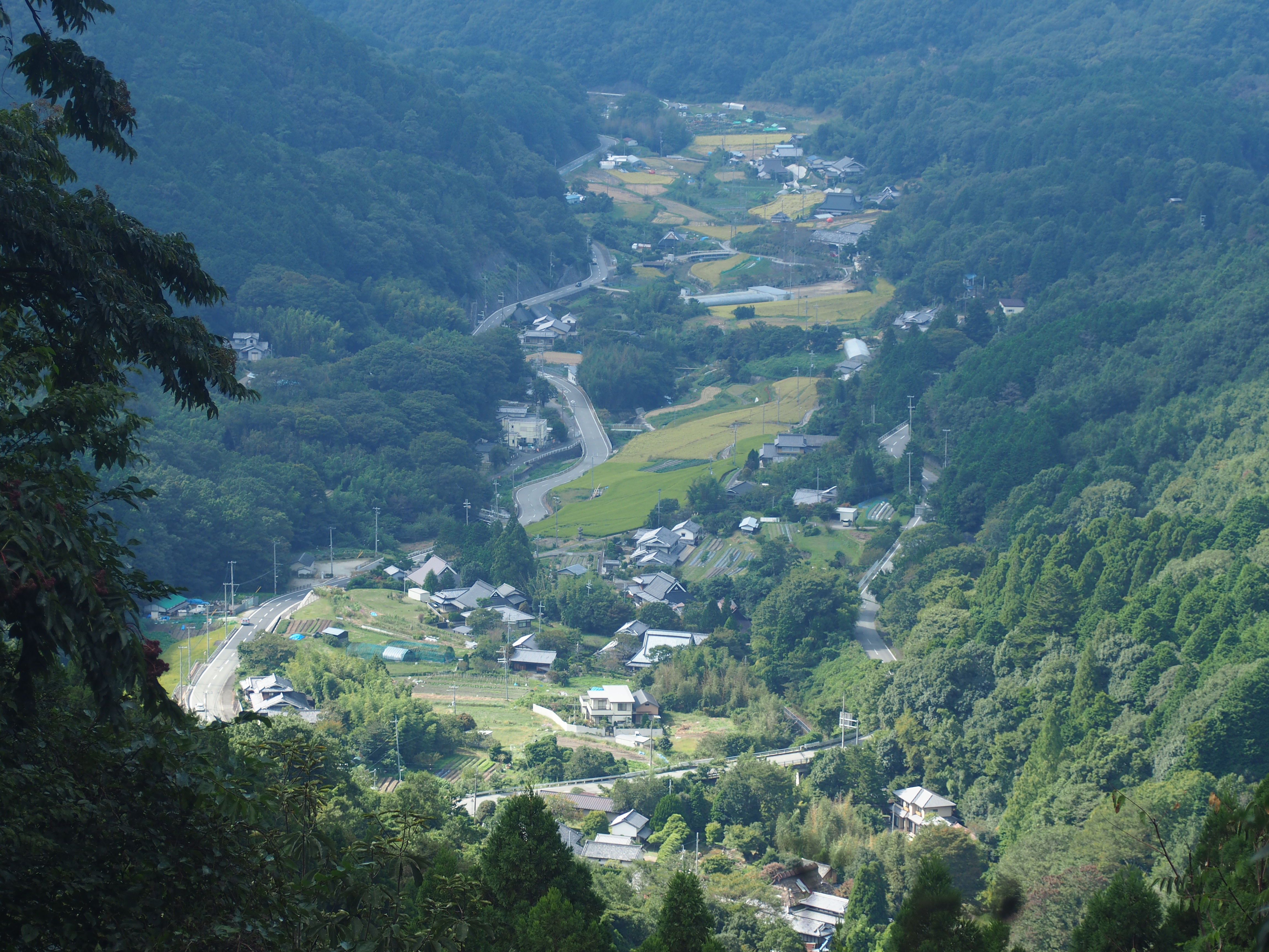 日本の原風景。国内ナンバーワン!?の里山と大ケヤキを巡る「里山