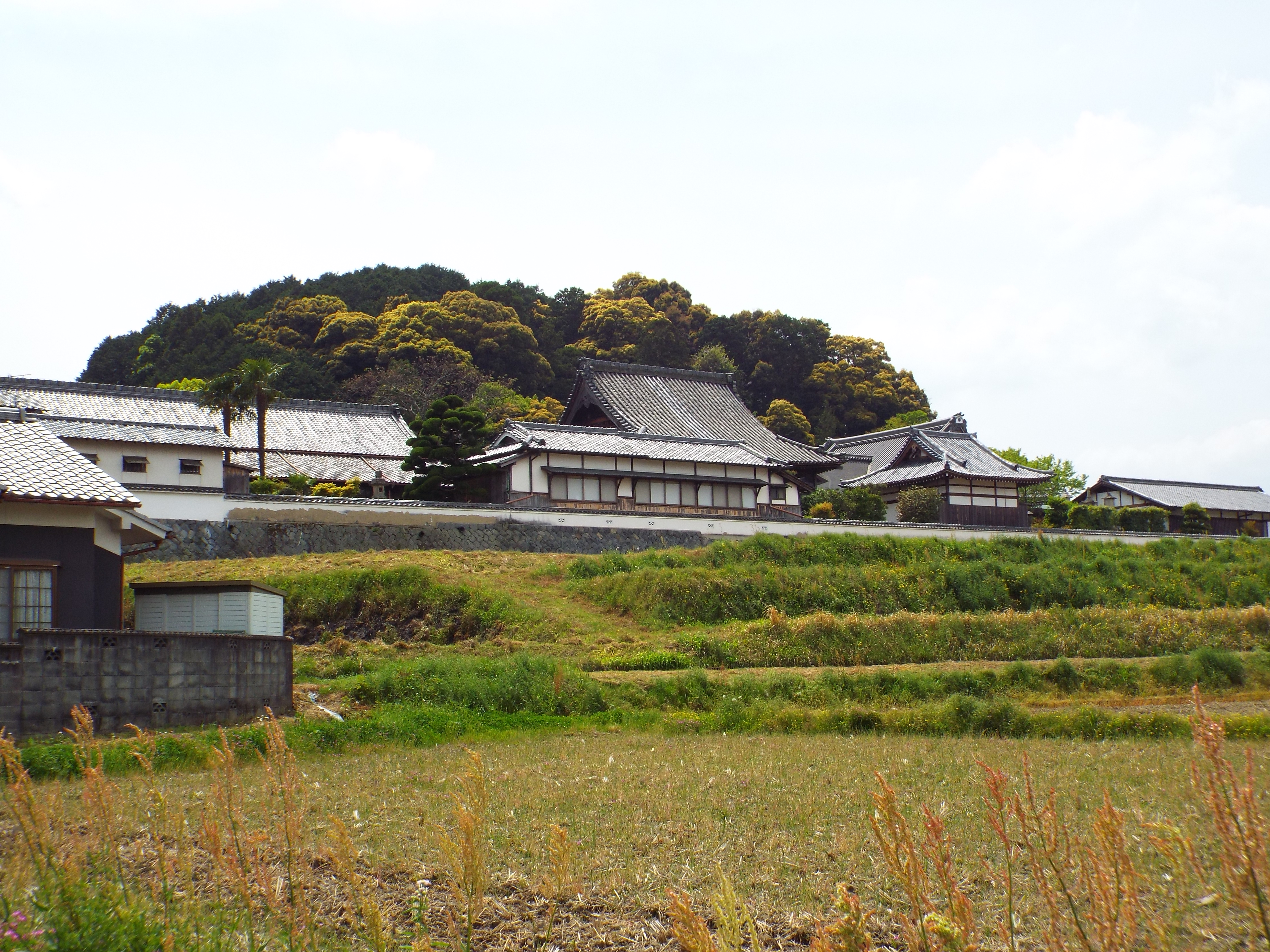 飛鳥を「あすか」と呼ぶ謎！その秘密を探るべく聖徳太子ゆかりの奈良