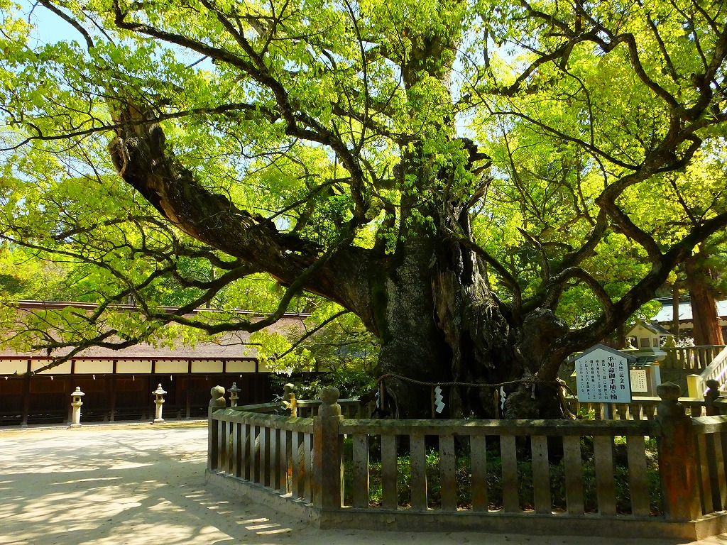 八十八ヶ所だけじゃない！四国が誇る空海ゆかりの霊場「四国別格二十
