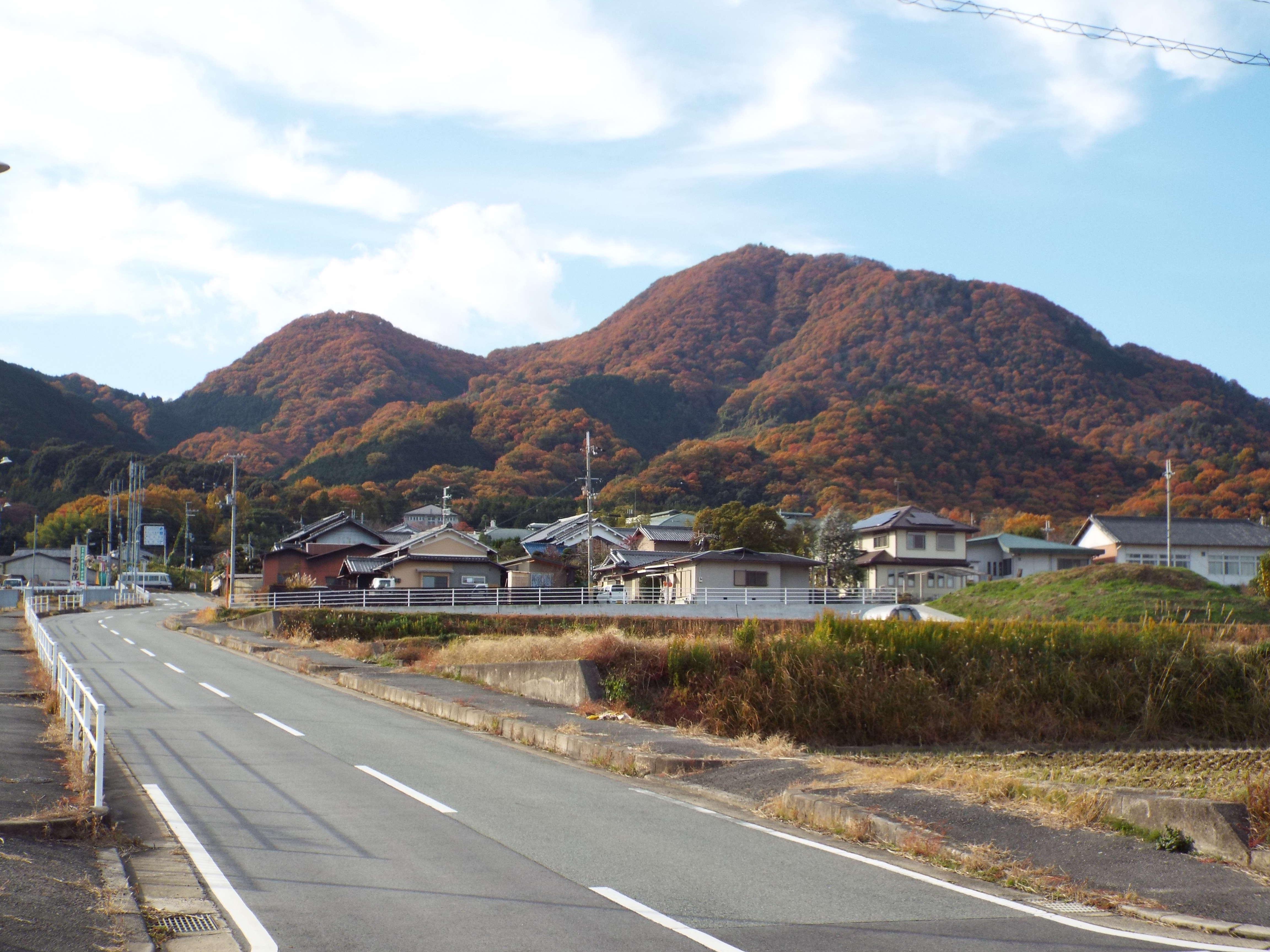 DSCF5562.jpg
